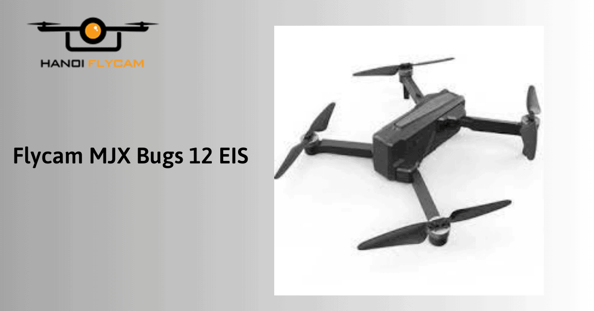 Flycam MJX Bugs 12 EIS
